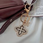 جاسوئیچی و بگ چارم لوئی
